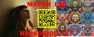 скорость Кингисепп
