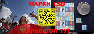 крисы Кимры
