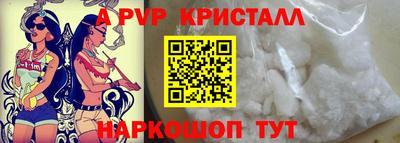 скорость Кингисепп